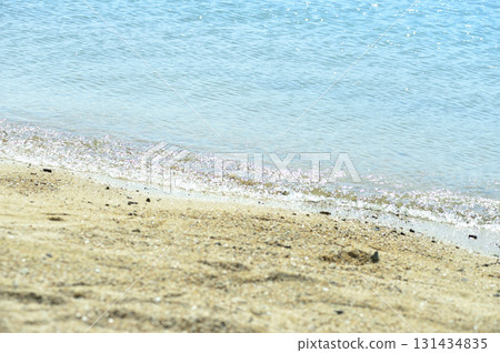 A beach 131434835