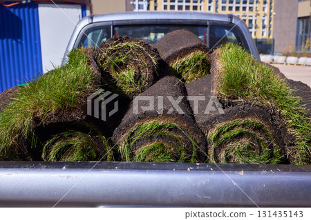 Freshly Cut Grass Rolls Ready for Landscaping and Enhancing the Beauty of Your Yard Freshly Cut Grass Rolls Ready for Landscaping and Enhancing the Beauty of Your Yard 131435143