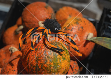 Black and orange toy spider sits on top of bright pumpkins, creating a festive and spooky scene. Concept of Halloween decoration, autumn mood, and pumpkin celebration with spider theme 131435332