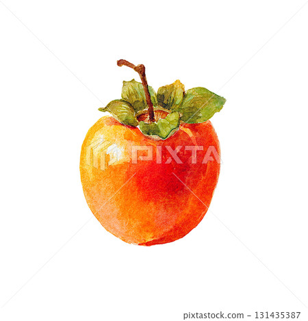 Illustration of a ripe persimmon: Hand-drawn cutout material depicting the taste of autumn (Cutout PNG) 131435387