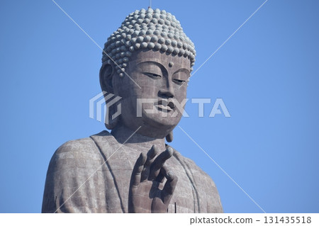 Ushiku Daibutsu世界上最大的銅像 131435518