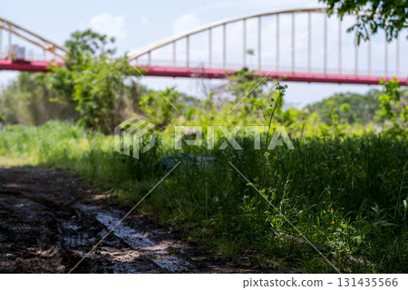 [Abina Line] Abandoned railway tracks remaining in the park 131435566