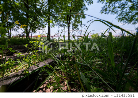 [Abina Line] Abandoned railway tracks remaining in the park 131435581