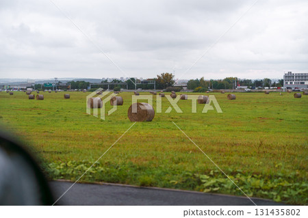 Round hay bales on green field with city skyline and road traffic in background under cloudy sky 131435802