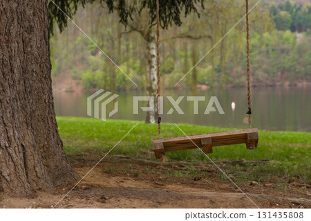 Wooden tree swing hanging over grass by the lake in Nova Zivohost, Czech Republic on spring day. Wooden tree swing hanging over grass by the lake in Nova Zivohost, Czech Republic on spring day. 131435808