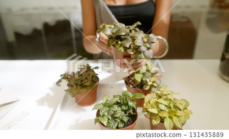 An InDepth Comprehensive Guide to Indoor Plant Care and Suggestions for Ongoing Maintenance An InDepth Comprehensive Guide to Indoor Plant Care and Suggestions for Ongoing Maintenance 131435889