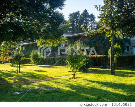 An air-conditioned building in a park covered in ivy. Green City. Lawn and utility room. An air-conditioned building in a park covered in ivy. Green City. Lawn and utility room. 131435985