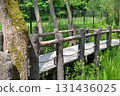 A splitrail fence lines the wooden bridge in the heart of a lush forest, surrounded by water, plants, and grass. The natural landscape is enhanced by the rustic charm of the bridge 131436025