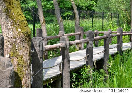 A splitrail fence lines the wooden bridge in the heart of a lush forest, surrounded by water, plants, and grass. The natural landscape is enhanced by the rustic charm of the bridge A splitrail fence lines the wooden bridge in the heart of a lush forest, surrounded by water, plants, and grass. The natural landscape is enhanced by the rustic charm of the bridge 131436025