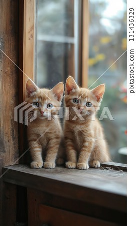 Tabby kittens looking adorable and cute, a perfect portrait of young feline animals Tabby kittens looking adorable and cute, a perfect portrait of young feline animals 131436329