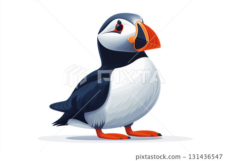 Puffin bird wildlife nature with colorful beak and atlantic illustration in a cute way Puffin bird wildlife nature with colorful beak and atlantic illustration in a cute way 131436547