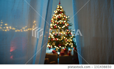 Entering A House With Christmas Tree Through A Curtain Of Window Entering A House With Christmas Tree Through A Curtain Of Window 131436650