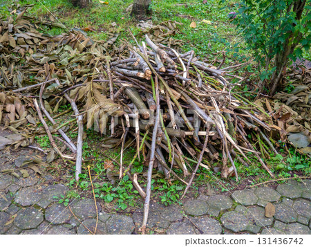 Brushwood on the ground. Work of landscaping services. Gardening. The cut branches are stacked before removal. Improvement of the park Brushwood on the ground. Work of landscaping services. Gardening. The cut branches are stacked before removal. Improvement of the park 131436742