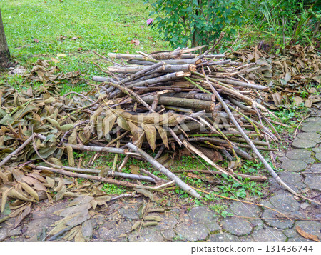 Brushwood on the ground. Work of landscaping services. Gardening. The cut branches are stacked before removal.  Improvement of the park Brushwood on the ground. Work of landscaping services. Gardening. The cut branches are stacked before removal.  Improvement of the park 131436744