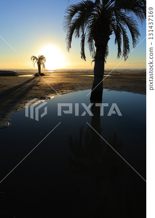 A sea stained in a morning glow 131437169