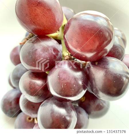 圖片素材：閃耀美麗秋日氣息，Pione 131437376