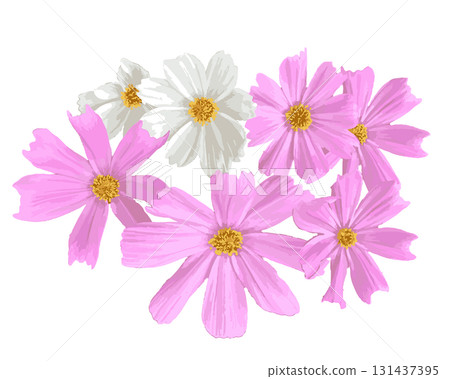 Realistic cosmos illustration 131437395