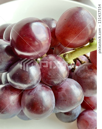 Photo material: Beautifully shining autumn flavor, Pione 131437554