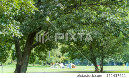 Scenery of Akigase Park in Saitama Prefecture 131437611