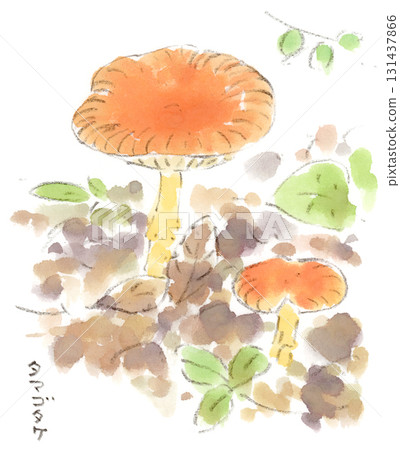 Autumn landscape, watercolor illustration of orange mushrooms (probably egg mushrooms) Autumn landscape, watercolor illustration of orange mushrooms (probably egg mushrooms) 131437866