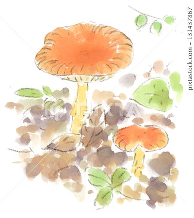 Autumn landscape, watercolor illustration of orange mushrooms (probably egg mushrooms) Autumn landscape, watercolor illustration of orange mushrooms (probably egg mushrooms) 131437867