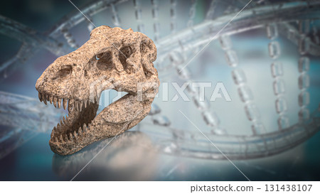 The T rex Skull for Education Or sci concept 3d Rendering. 131438107