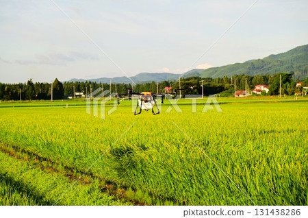 Recent Agriculture Chemical Spraying (Stink Bug Control) 131438286