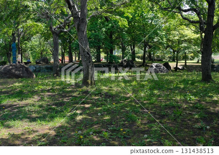 Park with green Park with green 131438513