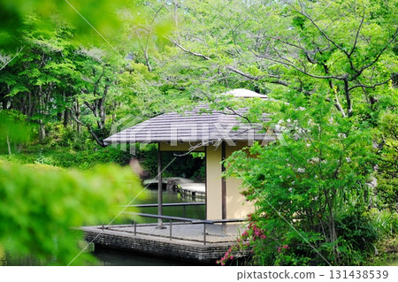 Arbor surrounded by greenery Arbor surrounded by greenery 131438539