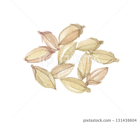 Rice painted in watercolor Rice painted in watercolor 131438604