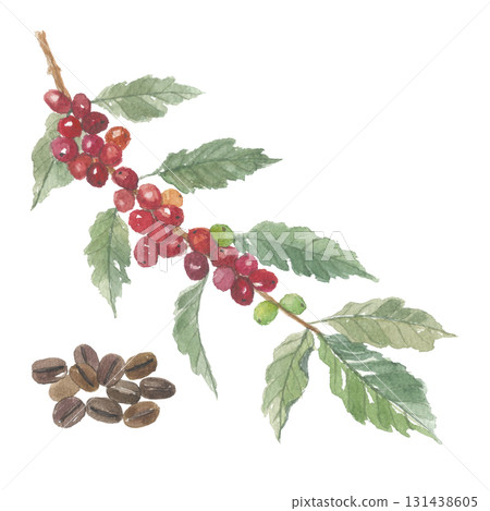水彩咖啡樹與咖啡豆 131438605