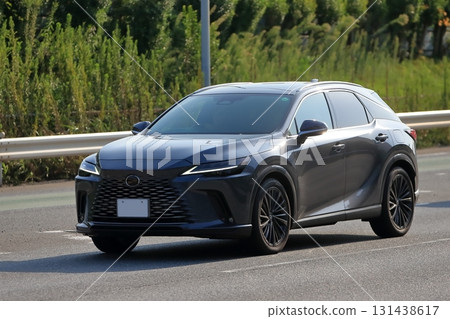 Domestically produced luxury SUVs Domestically produced luxury SUVs 131438617