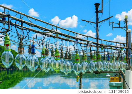 許多供魷魚漁船使用的坡道。武藏漁船碼頭。 131439015