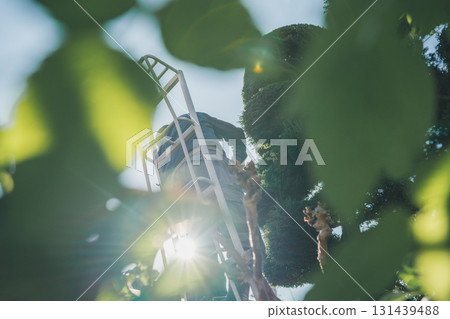 園丁 男人 男 131439488