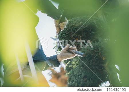 園丁 男人 男 131439493