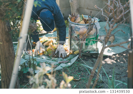 gardening, pruning, falling leafe 131439530