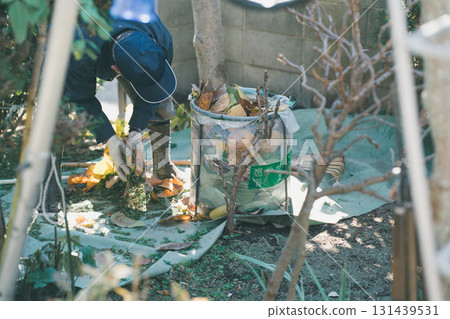 gardening, pruning, falling leafe 131439531