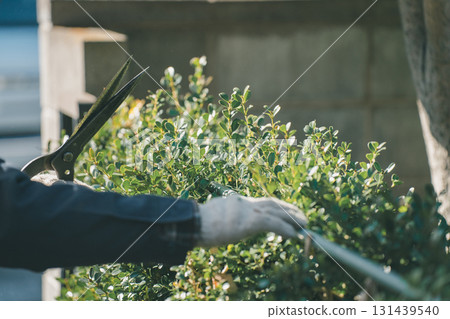 修剪 男人 男 131439540