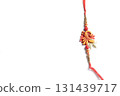 Colorful traditional Indian rakhi isolated on white background celebrating Raksha Bandhan. 131439717