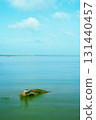 island rock on the sea 131440457