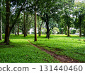 green park with trees and grass lawn 131440460