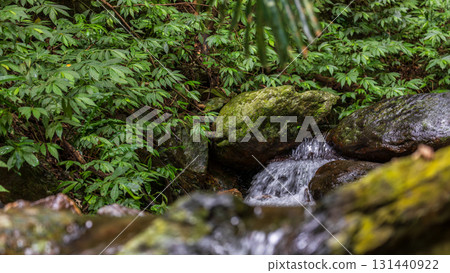 Clear stream and waterfall in the forest Clear stream and waterfall in the forest 131440922