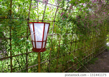 Hagi no Tunnel Hagi no Tunnel 131441173