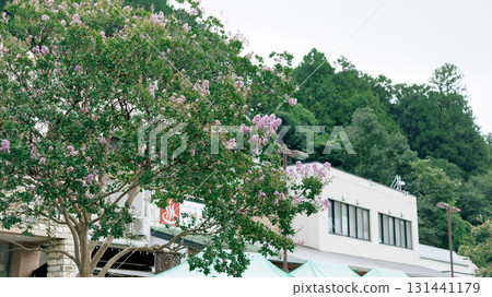 路站 路站 131441179