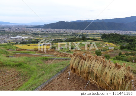 Obasute Autumn scenery of Zenkoji Plain (Rice terrace parking lot) Obasute Autumn scenery of Zenkoji Plain (Rice terrace parking lot) 131441195