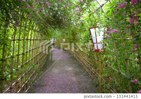 Hagi no Tunnel Hagi no Tunnel 131441413