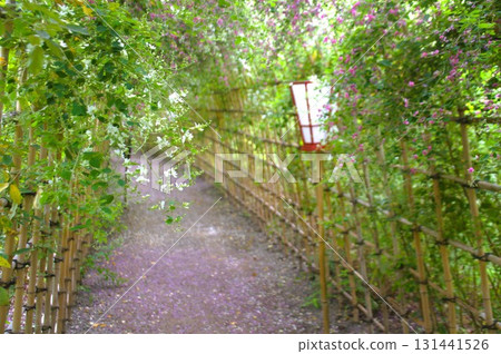 Hagi no Tunnel Hagi no Tunnel 131441526
