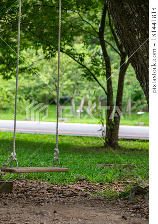 Wooden swing hanging from a tree trunk in the park Wooden swing hanging from a tree trunk in the park 131441813