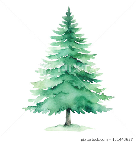 Watercolor illustration of a tall evergreen pine tree, detailed green layered branches with varying shades Watercolor illustration of a tall evergreen pine tree, detailed green layered branches with varying shades 131443657