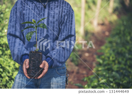Smart farmer checking plant in eco green farm sustainable quality control. Close up Hand check quality control plant tree. Farmer cultivated planting in eco Farmland biotechnology. Green agriculture 131444649